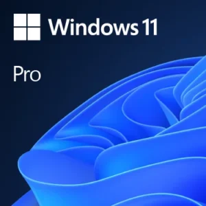 Windows 11 Profesional 64 Bit Espanol Latam